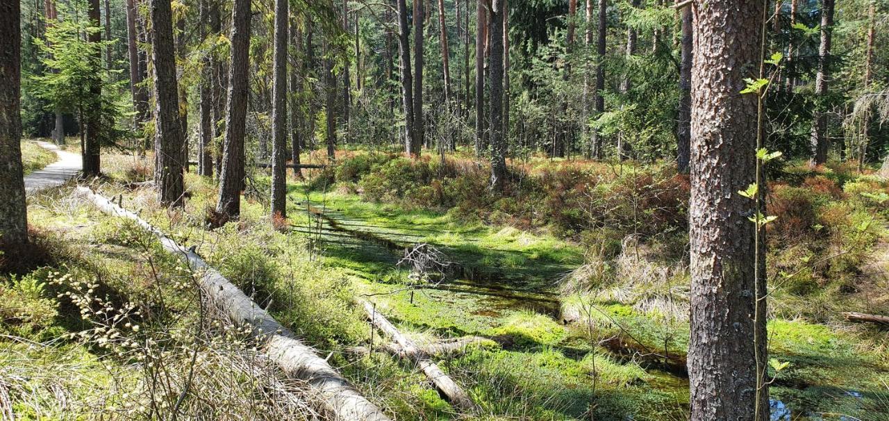 Eco Domek Z Duzym Ogrodem I Widokiem Murzasichle Extérieur photo
