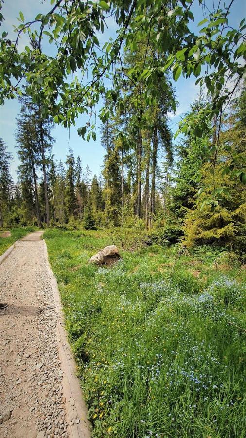 Eco Domek Z Duzym Ogrodem I Widokiem Murzasichle Extérieur photo