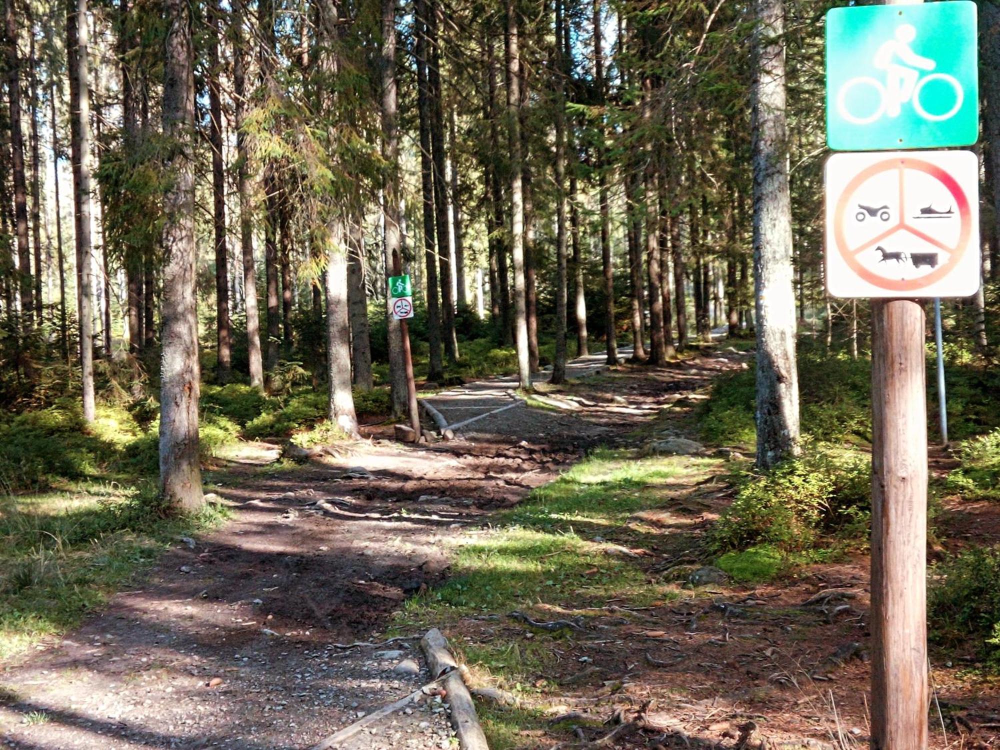 Eco Domek Z Duzym Ogrodem I Widokiem Murzasichle Extérieur photo